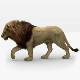 Lion 3 (Fur) Animated 3D
